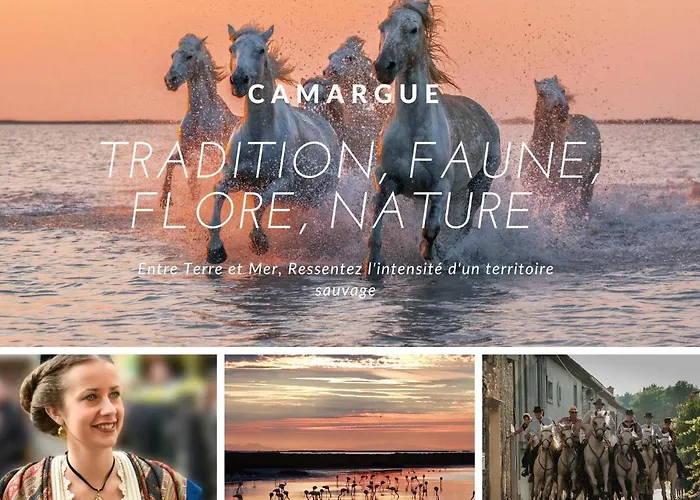 La O Maeva - Vue D'exception - Parking Privé - Wifi - Motte